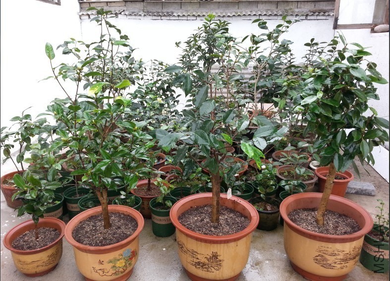 QQͼƬ20131021103436.jpg