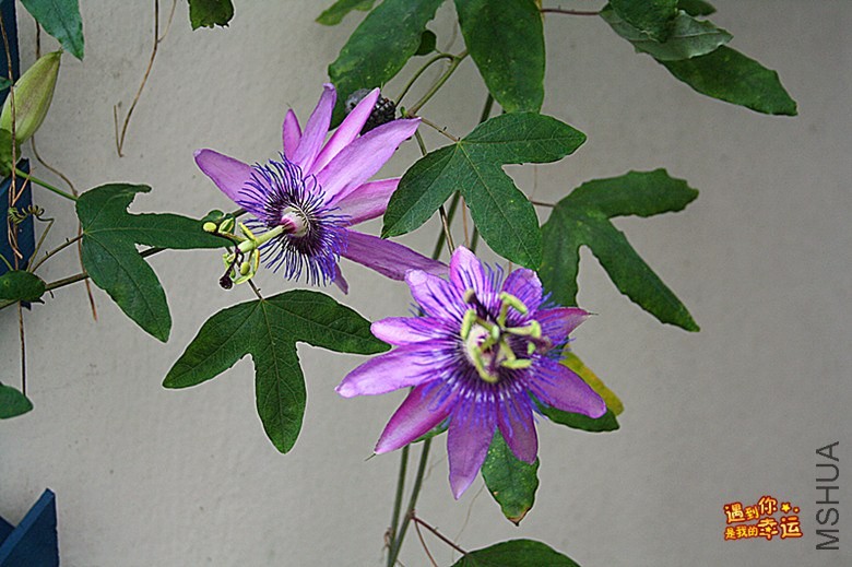 ��Ƭ 053_����.jpg