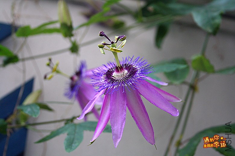 ��Ƭ 059_����.jpg