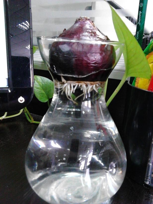 ��ת IMG_20131021_150554.jpg