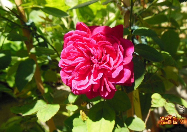 ��Ƭ 007_����.jpg