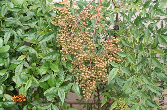 ��Ƭ 067_����.jpg