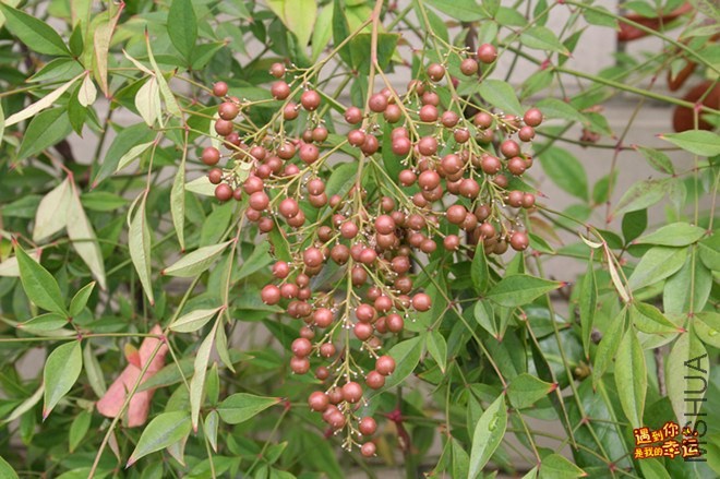 ��Ƭ 069_����.jpg