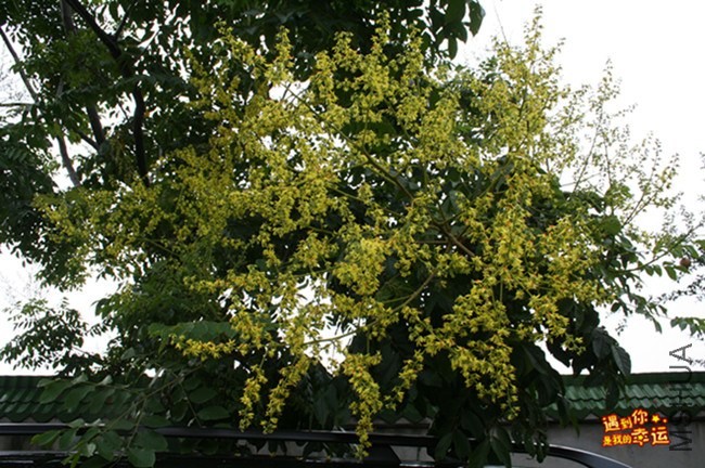 ��Ƭ 091_����.jpg