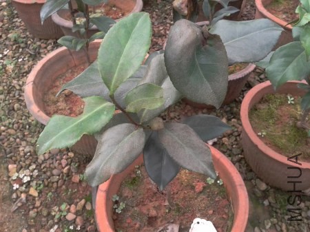 2013-09-26 09.26.58.jpg