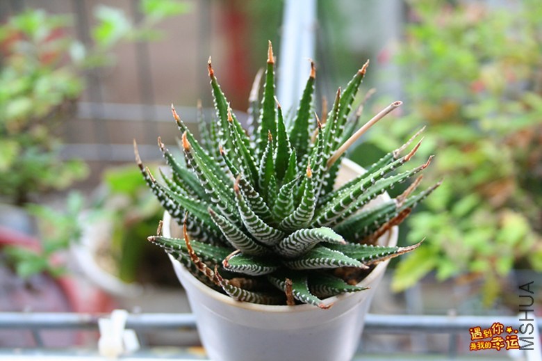 ��Ƭ 018_����.jpg