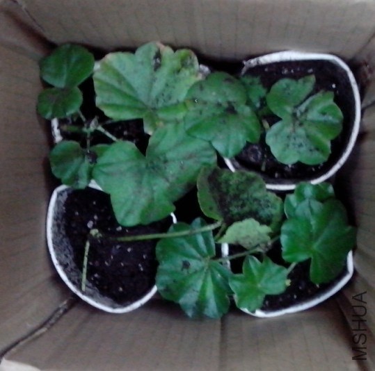 QQ��ͼ20131022121834.jpg