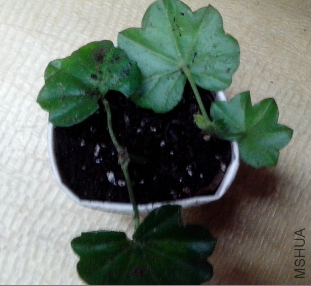 QQ��ͼ20131022130139.jpg