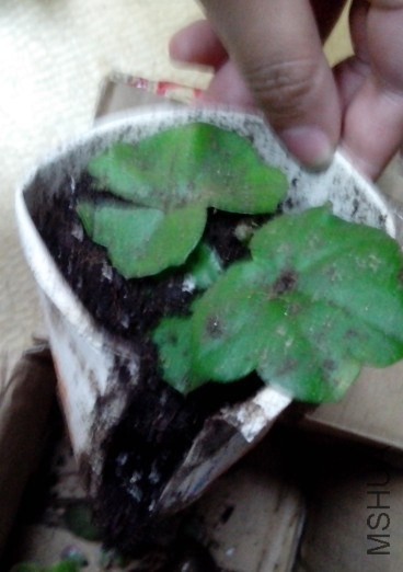 QQ��ͼ20131022130157.jpg