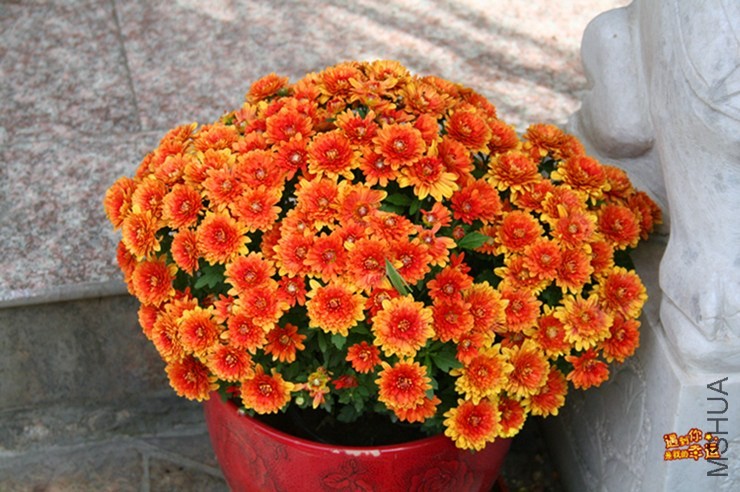 ��Ƭ 048_����.jpg