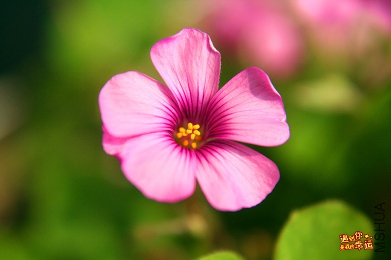 ��Ƭ 063_����.jpg