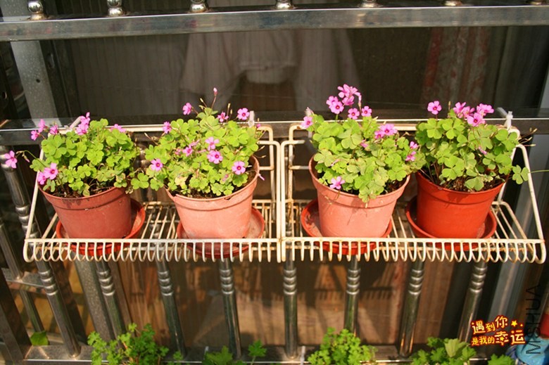 ��Ƭ 062_����.jpg