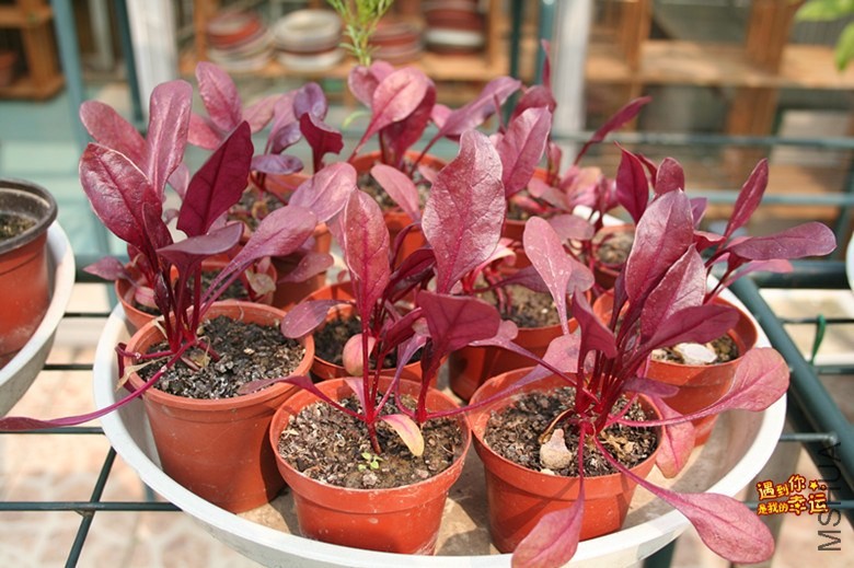 ��Ƭ 073_����.jpg