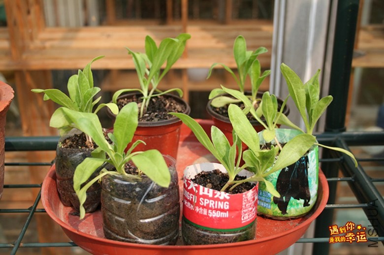 ��Ƭ 077_����.jpg