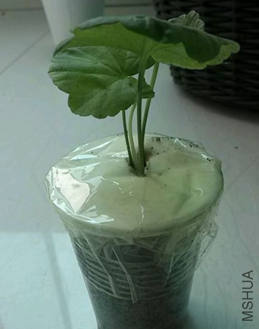 QQͼƬ20131022171727.jpg