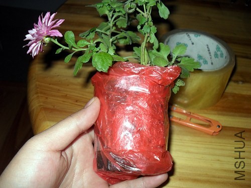 4.���ý�����