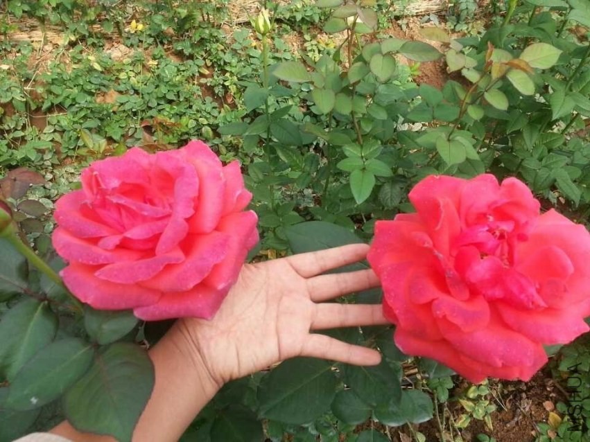 QQͼƬ20131022231013.jpg