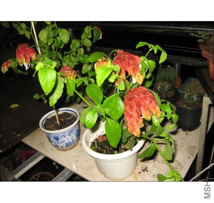 QQͼƬ20131008203719.jpg