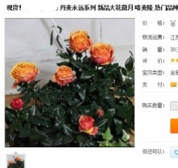 7C10BE9E-1E4F-4DEB-BB0A-AF6DF1454494.jpg