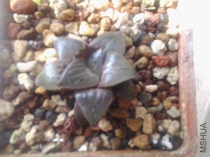 20131023_103935_1123780.jpg