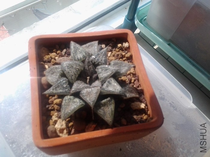 20131023_104020_1135368.jpg