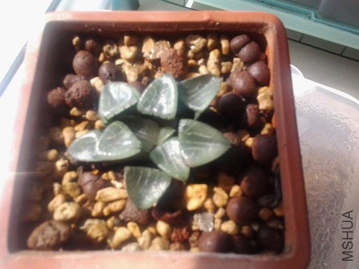 20131023_104034_1151976.jpg