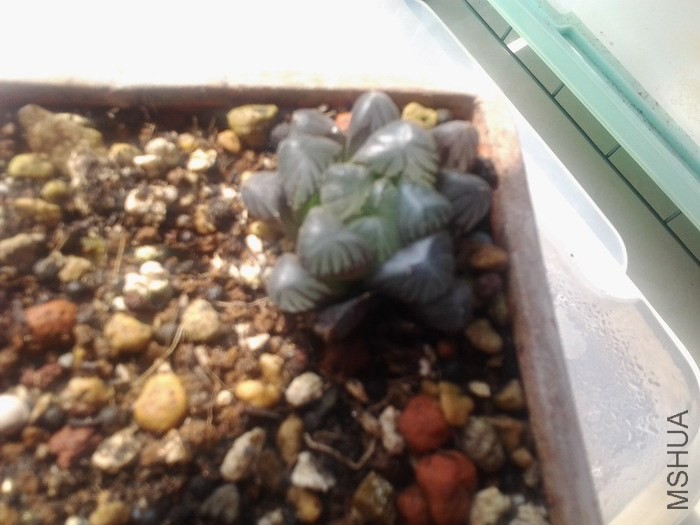 20131023_104111_1084031.jpg