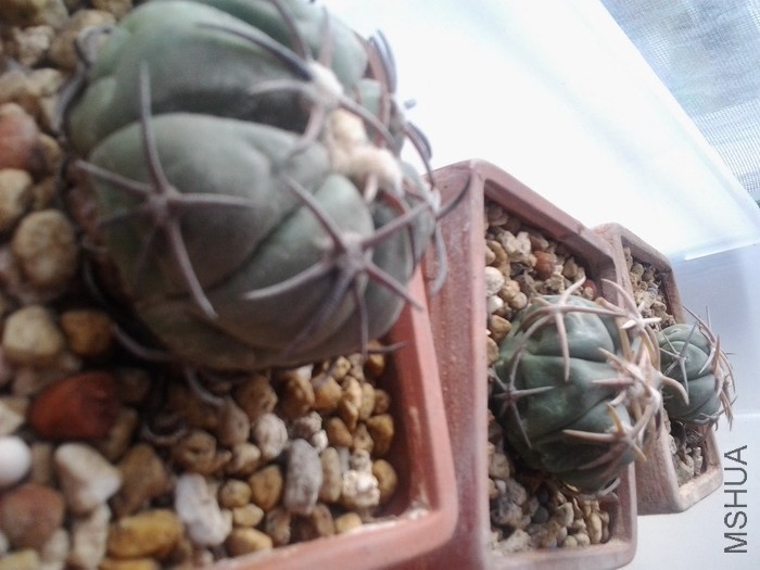 20131023_104337_1153138.jpg