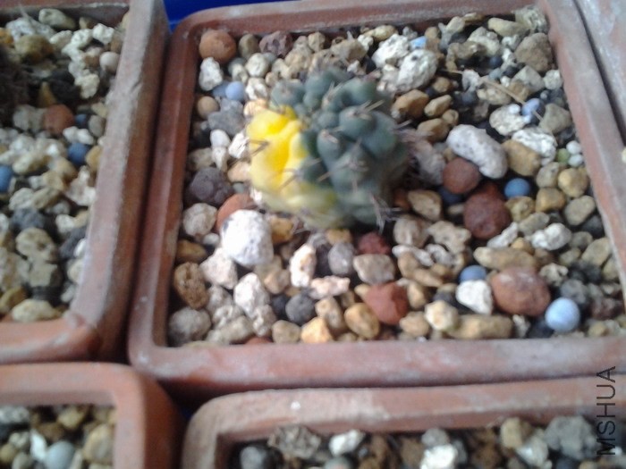 20131023_104537_1126734.jpg