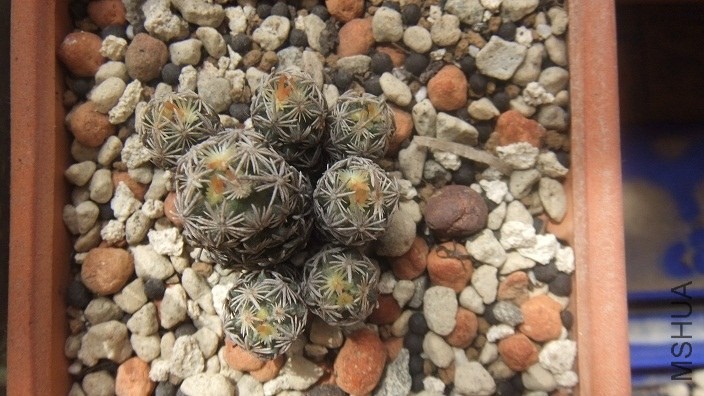 DSCF5171.JPG