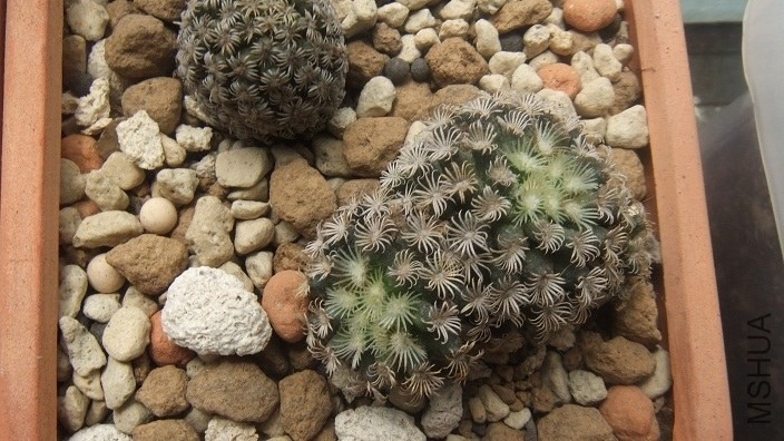 DSCF5172.JPG