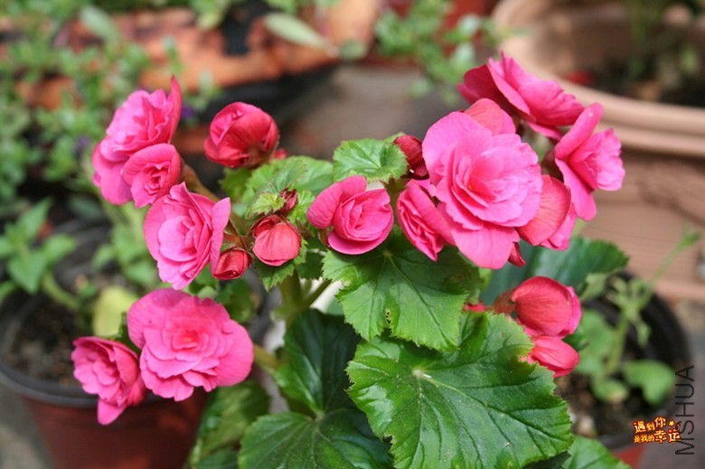 ��Ƭ 078_����.jpg