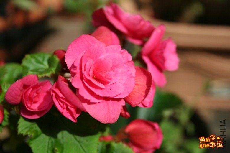 ��Ƭ 082_����.jpg