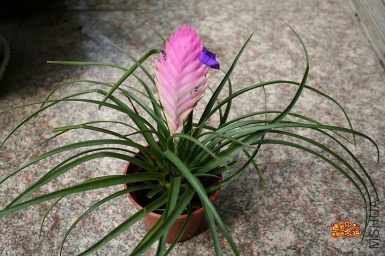 ��Ƭ 088_����.jpg