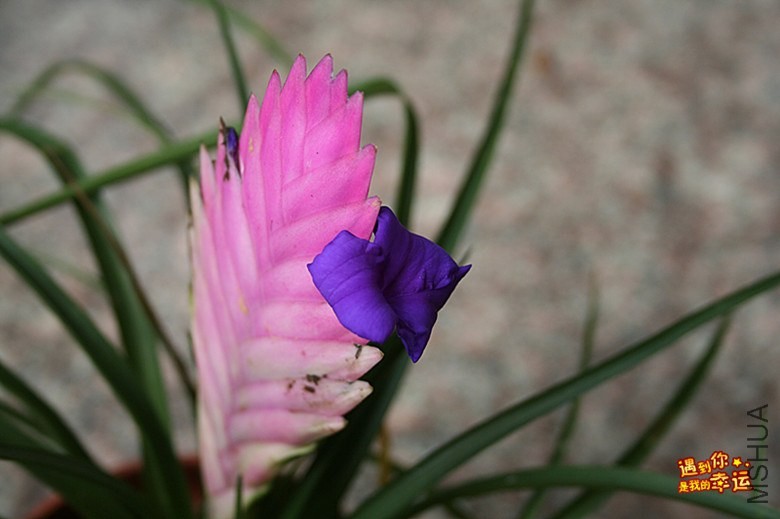 ��Ƭ 089_����.jpg