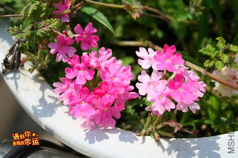 ��Ƭ 126_����.jpg