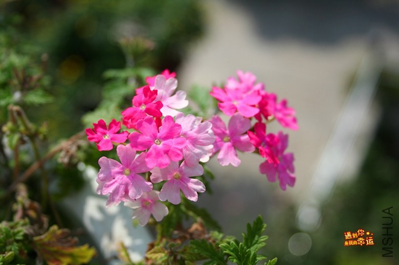 ��Ƭ 128_����.jpg