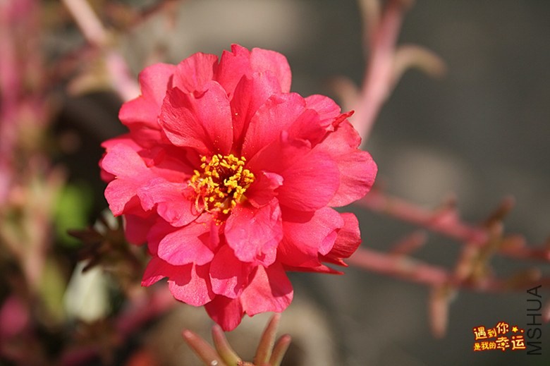 ��Ƭ 165_����.jpg