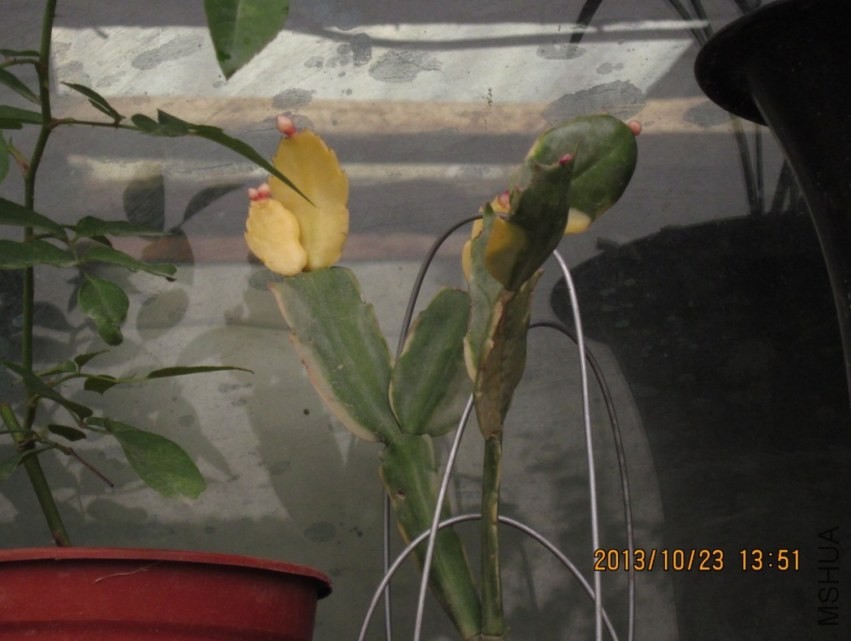 QQͼƬ20131023141601.jpg