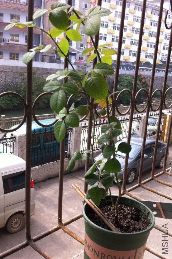 QQ��ͼ20131023134011.jpg