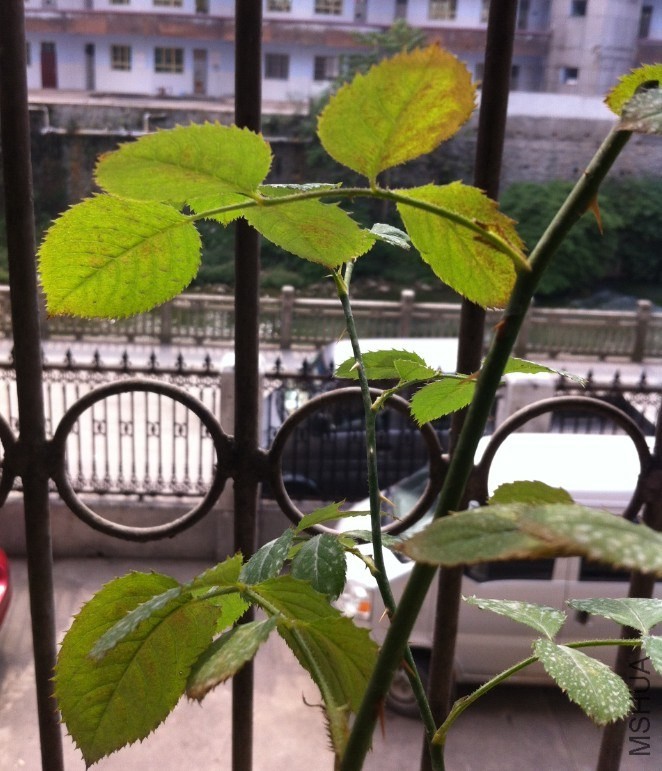 QQ��ͼ20131023133757.jpg