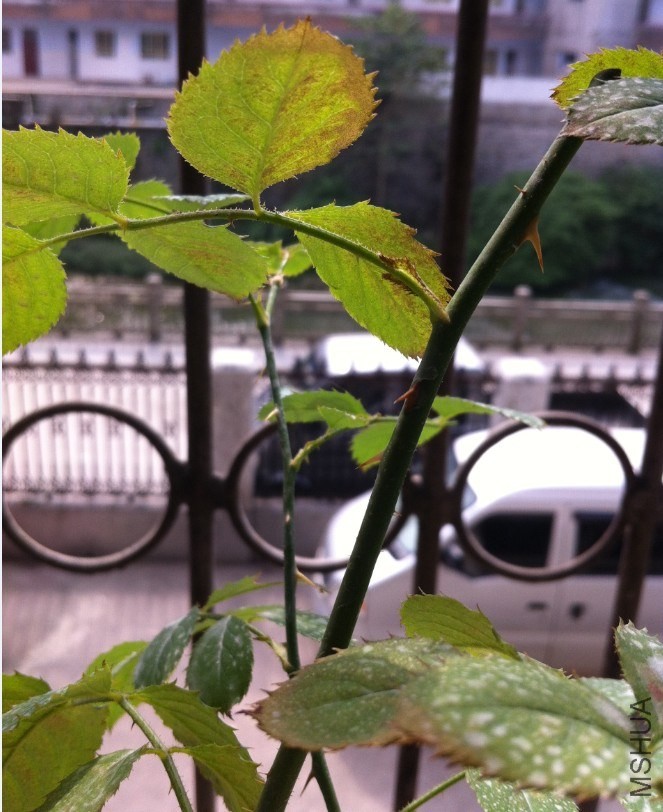QQ��ͼ20131023133902.jpg
