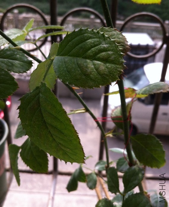 QQ��ͼ20131023133922.jpg