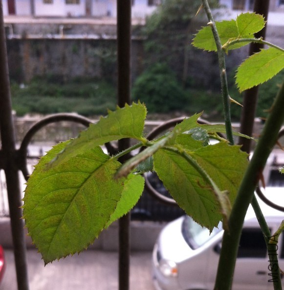 QQ��ͼ20131023134038.jpg