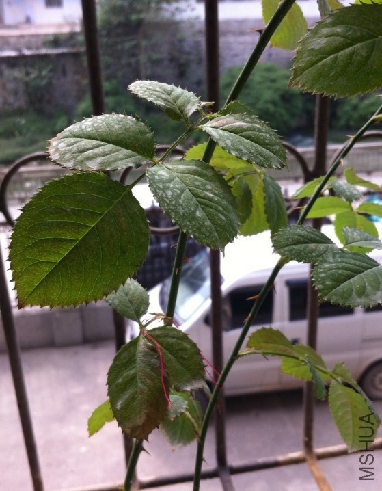 QQ��ͼ20131023134113.jpg
