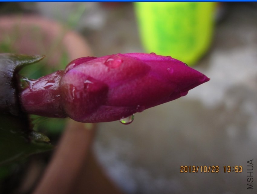 QQͼƬ20131023141617.jpg