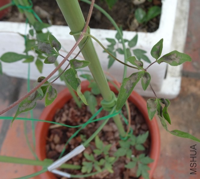 QQ��ͼ20131023171941.jpg