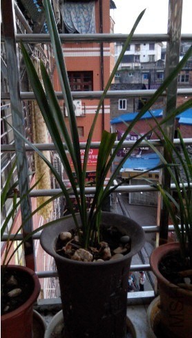 QQͼƬ20131023214353.jpg