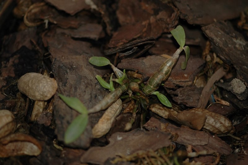 DSC_3669.jpg