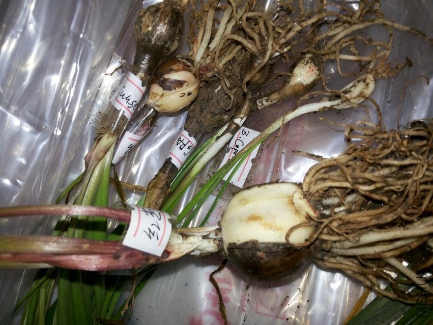 20131024_103741.jpg